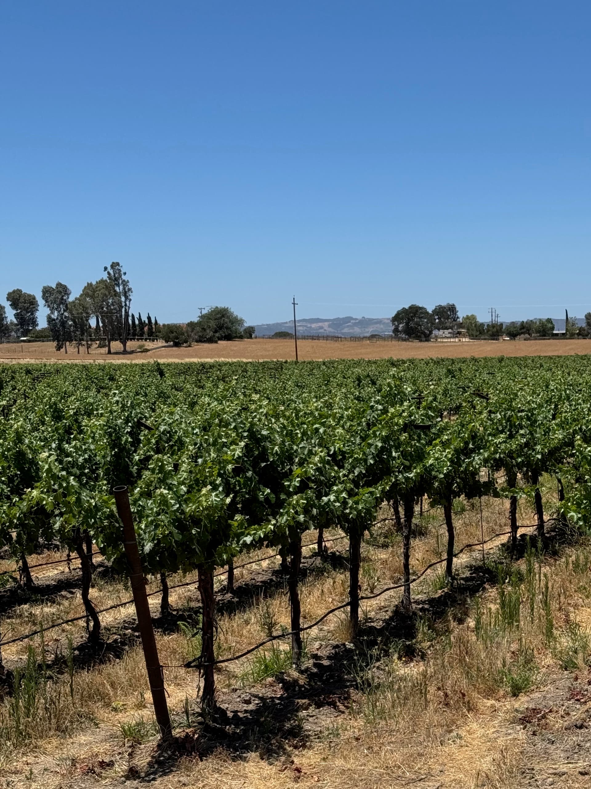 Industrial Infrastructure